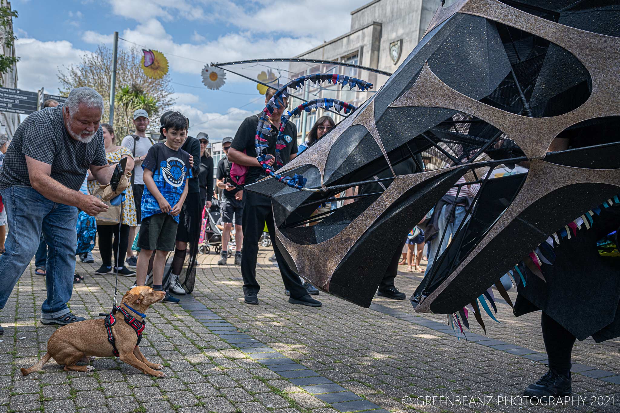 Dog meets giant dragon puppet in Plymouth