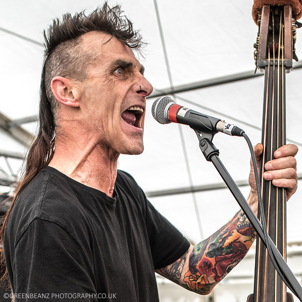 UK Music Photographers Image of Breakout singer and double bass player at the Plymouth Freedom Fields Music Festival 