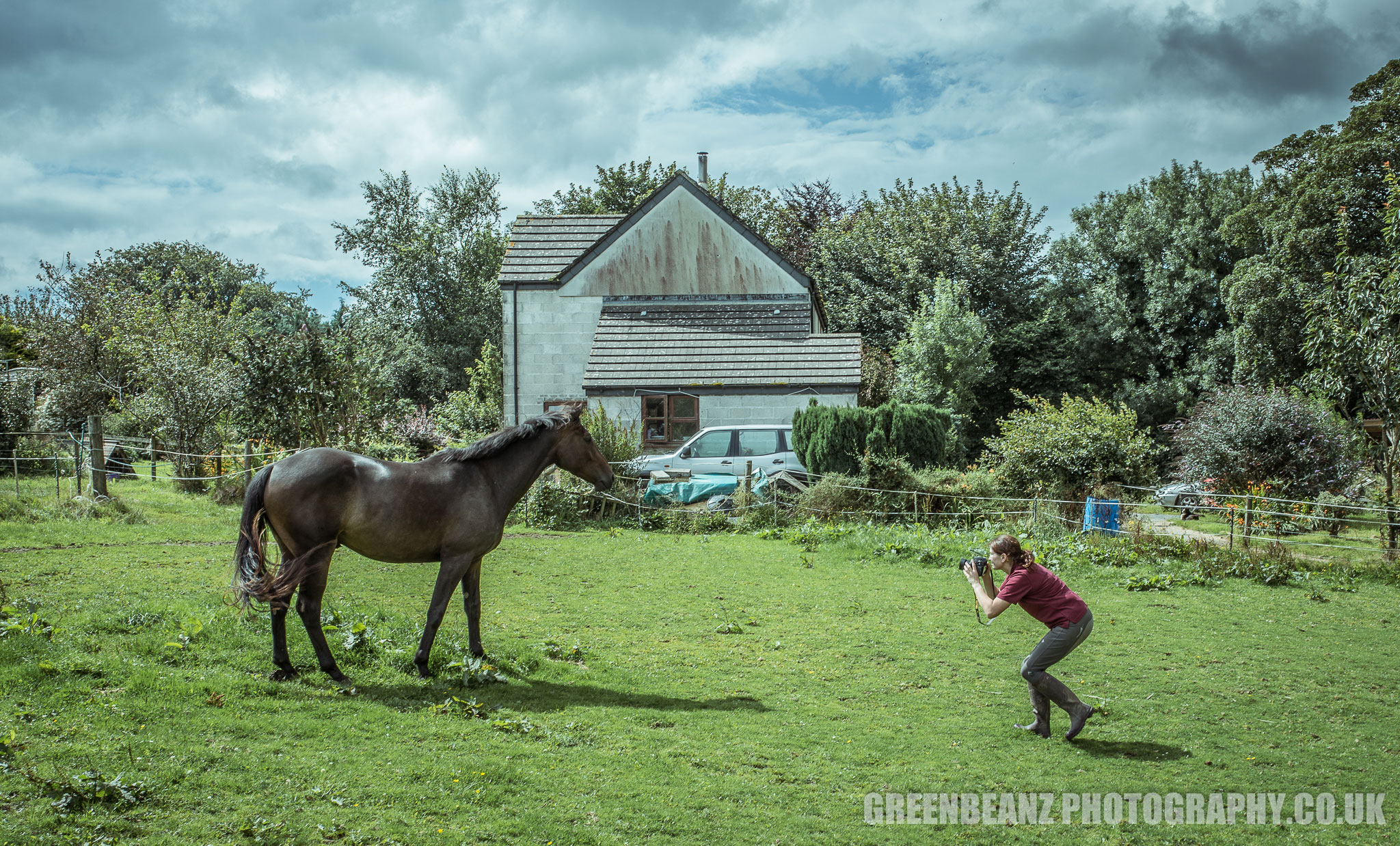 Outstanding Horsewoman Photographs Her Horse in Cornwall